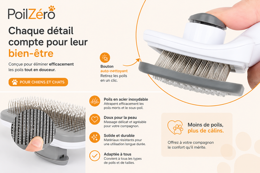 Marre des poils sur votre canapé ?
Éliminez-les en quelques secondes, sans rouleaux jetables ni aspirateur.